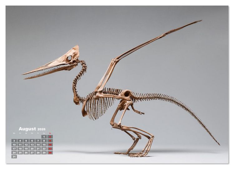Produktbild: Knochen der Giganten - Dinosaurier im Portr&auml;t (Wandkalender 2026 DIN A2 quer), CALVENDO Monatskalender