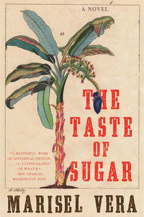Produktbild: The Taste of Sugar