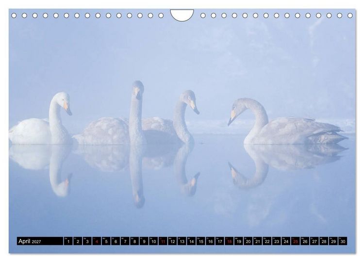 Produktbild: Japanische Vogelwelt im Winter (Wandkalender 2027 DIN A4 quer), CALVENDO Monatskalender