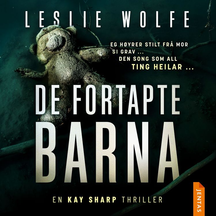 Produktbild: De fortapte barna
