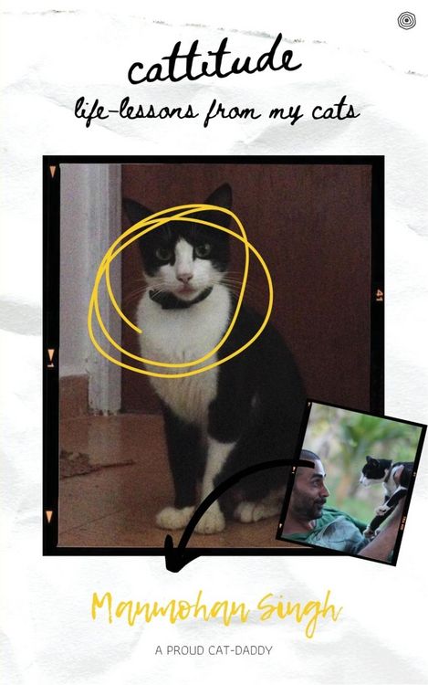Produktbild: Cattitude
