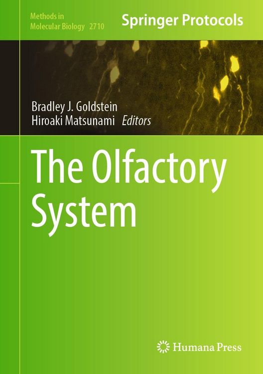 Produktbild: The Olfactory System