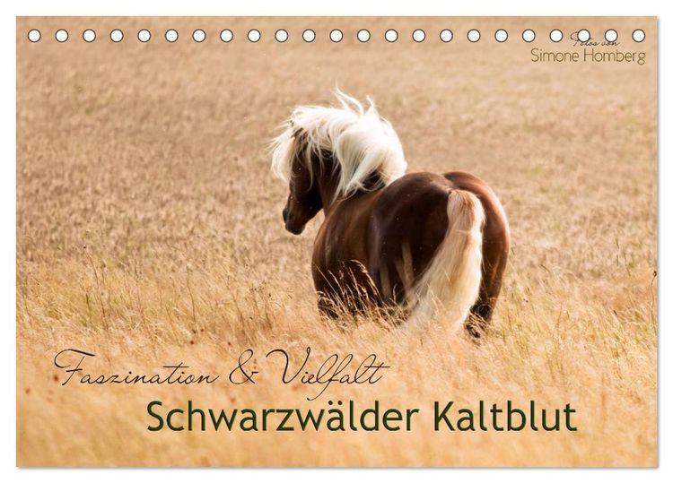 Produktbild: Faszination und Vielfalt - Schwarzw&auml;lder Kaltblut (Tischkalender 2026 DIN A5 quer), CALVENDO Monatskalender