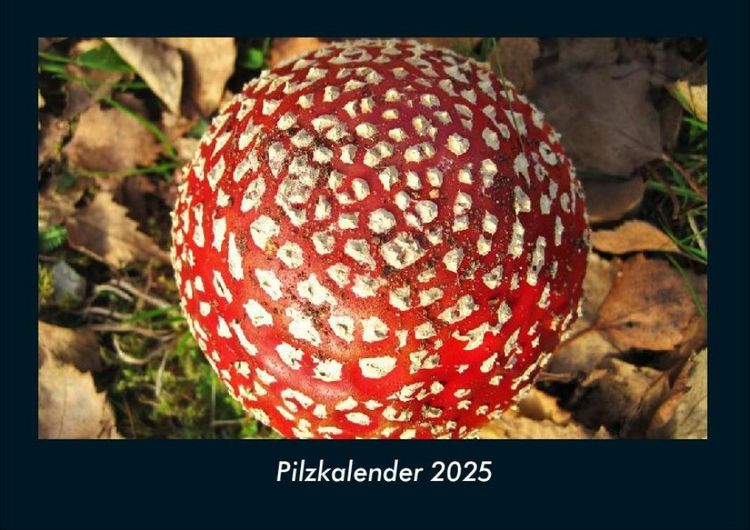 Produktbild: Pilzkalender 2025 Fotokalender DIN A4