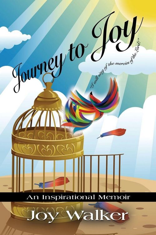 Produktbild: Journey To Joy