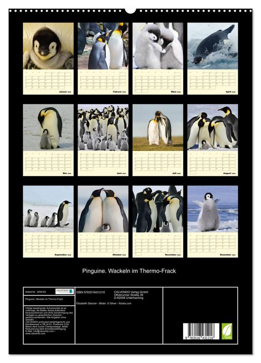 Produktbild: Pinguine. Wackeln im Thermo-Frack (hochwertiger Premium Wandkalender 2026 DIN A2 hoch), Kunstdruck in Hochglanz