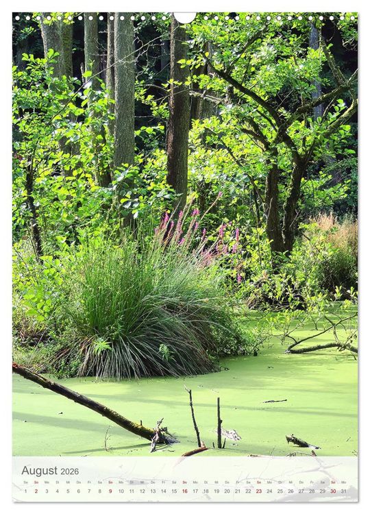 Produktbild: Im Nationalpark Jasmund - Naturwunder auf der Ostseeinsel R&uuml;gen (Wandkalender 2026 DIN A3 hoch), CALVENDO Monatskalender