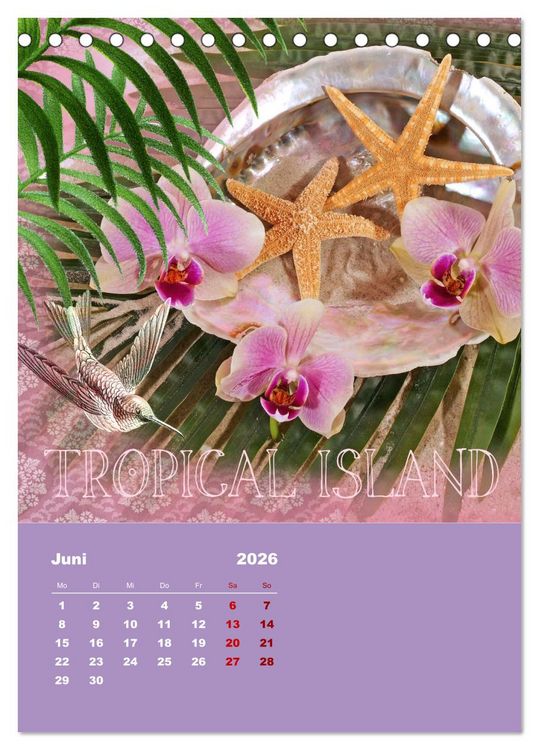 Produktbild: Geschenke vom Meer (Tischkalender 2026 DIN A5 hoch), CALVENDO Monatskalender