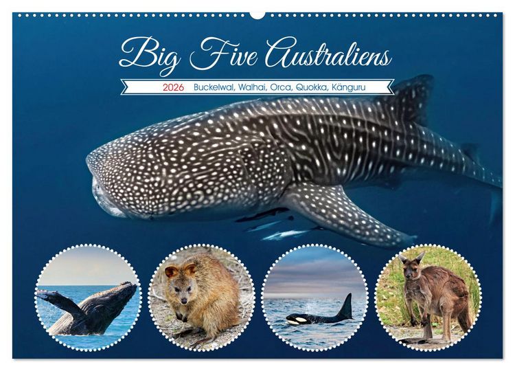 Produktbild: Big Five Australiens Buckelwal, Walhai, Orca, Quokka,K&auml;nguru (Wandkalender 2026 DIN A2 quer), CALVENDO Monatskalender