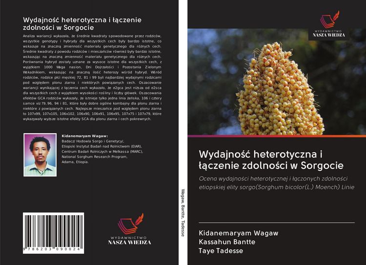 Produktbild: Wydajno&iquest;&iquest; heterotyczna i &iquest;&iquest;czenie zdolno&iquest;ci w Sorgocie