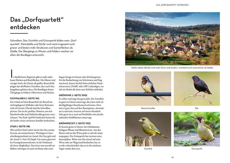 Produktbild: V&ouml;gel bestimmen mit den Ohren