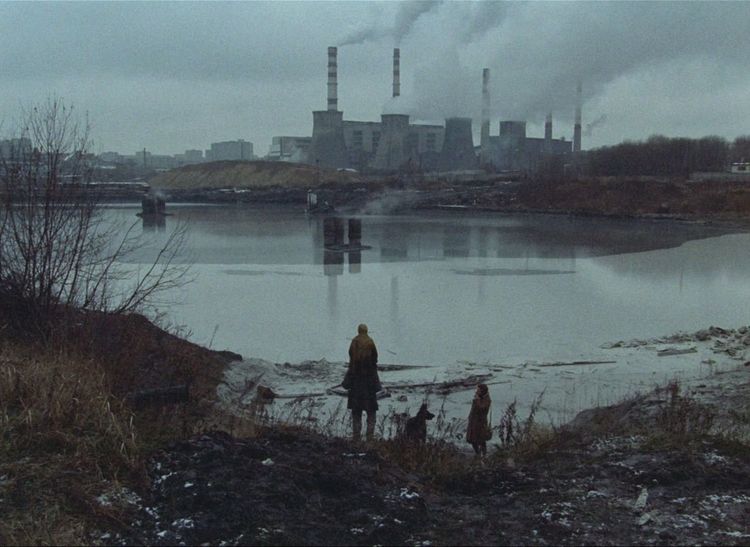 Produktbild: Stalker &ndash; Special Restored Edition (Filmjuwelen / DEFA Science Fiction)
