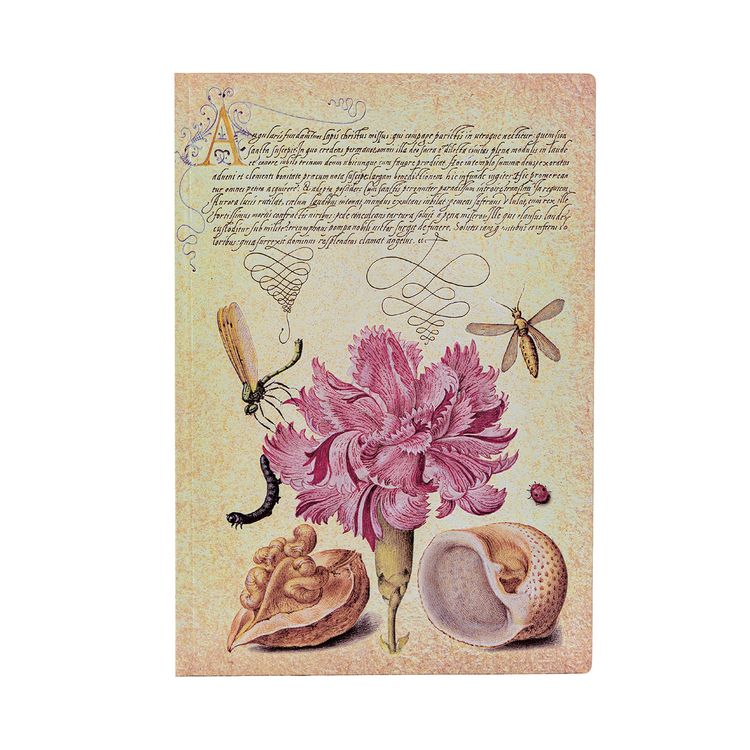 Produktbild: Softcover Notizbuch, Rosa Nelke, Midi, Liniert