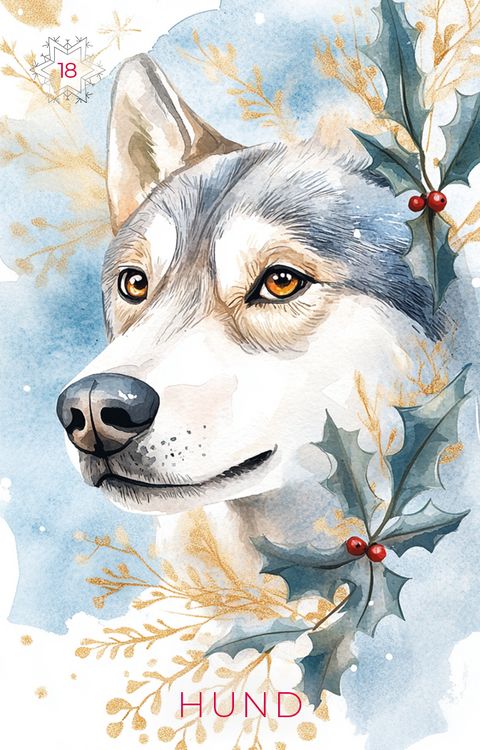 Produktbild: Frosted Dreams Lenormand - 38 farbige Lenormand-Karten und ein 68-seitiges Booklet in Faltschachtel