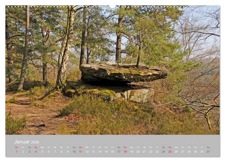Produktbild: Felsen im Pf&auml;lzer Wald (Wandkalender 2026 DIN A2 quer), CALVENDO Monatskalender