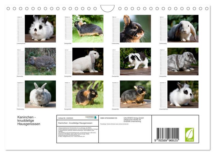Produktbild: Kaninchen - knuddelige Hausgenossen (Wandkalender 2027 DIN A4 quer), CALVENDO Monatskalender