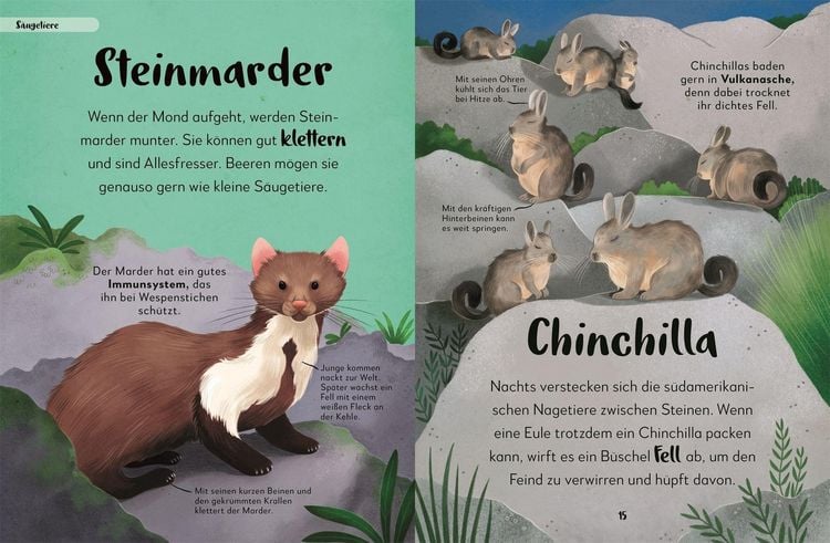 Produktbild: Mein liebstes Buch der Tiere der Nacht