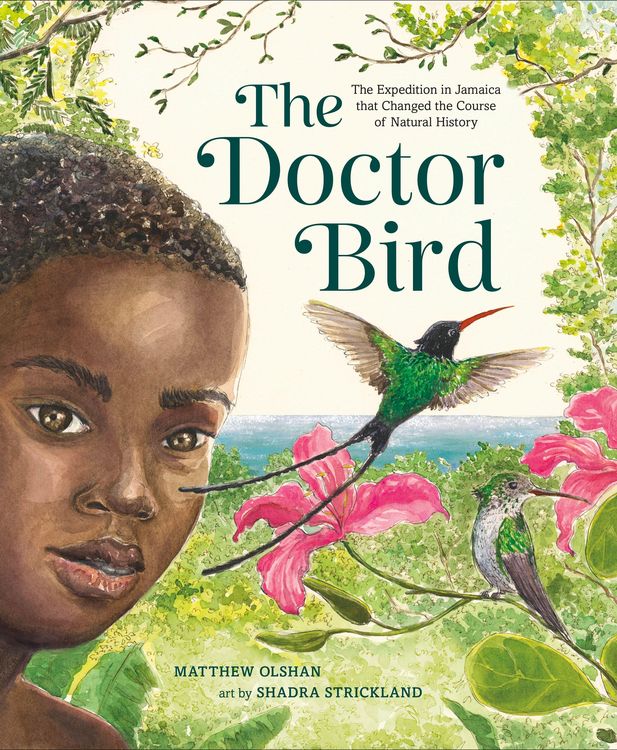 Produktbild: The Doctor Bird