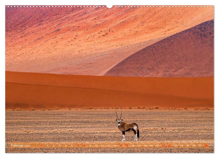 Produktbild: Namibias faszinierende Tierwelt (hochwertiger Premium Wandkalender 2026 DIN A2 quer), Kunstdruck in Hochglanz