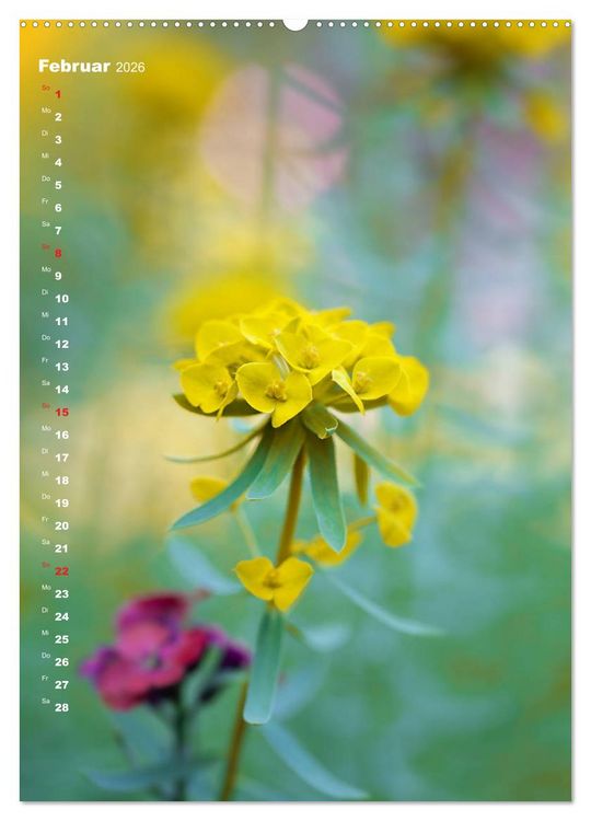 Produktbild: Colors of Nature (Wandkalender 2026 DIN A2 hoch), CALVENDO Monatskalender