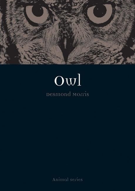 Produktbild: Owl