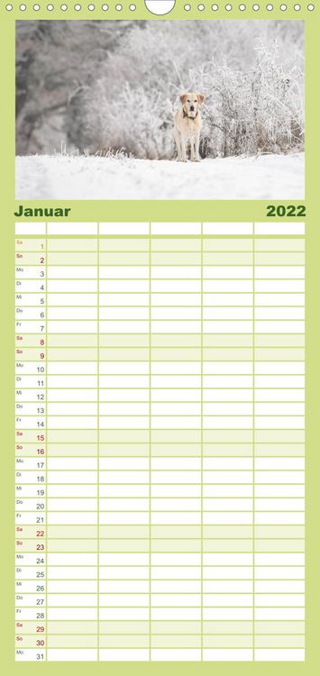 Produktbild: Familienplaner Labrador Trio - 3 Farben, 3 Freunde (Wandkalender 2022 , 21 cm x 45 cm, hoch)