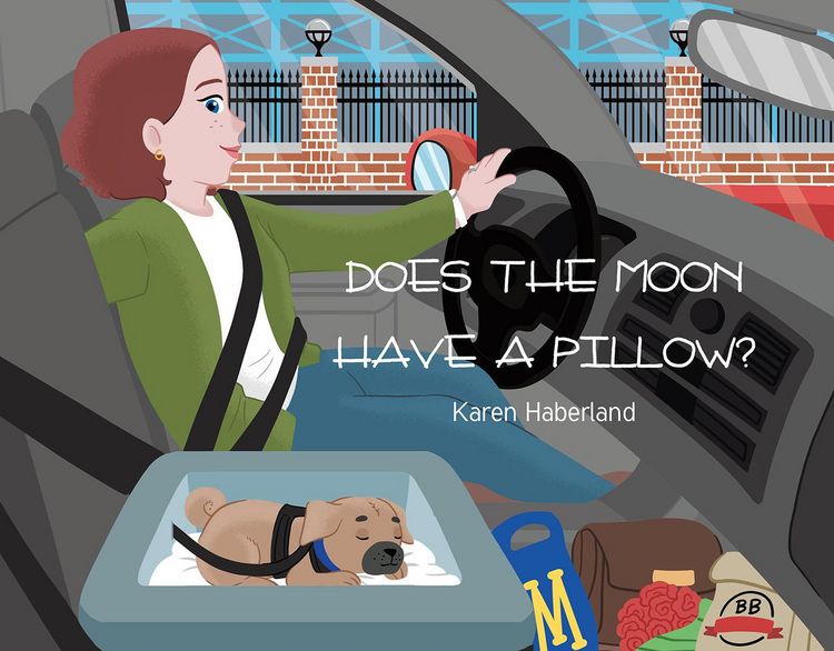 Produktbild: Does the Moon Have a Pillow?