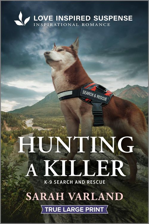 Produktbild: Hunting a Killer