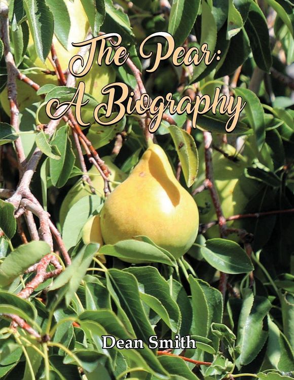 Produktbild: The Pear