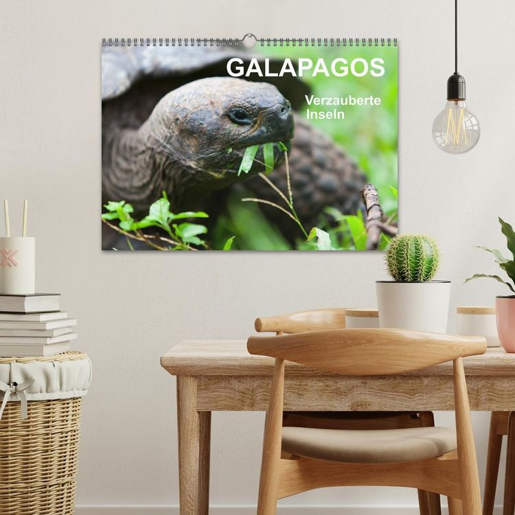 Produktbild: Galapagos. Verzauberte Inseln (Wandkalender 2026 DIN A3 quer), CALVENDO Monatskalender