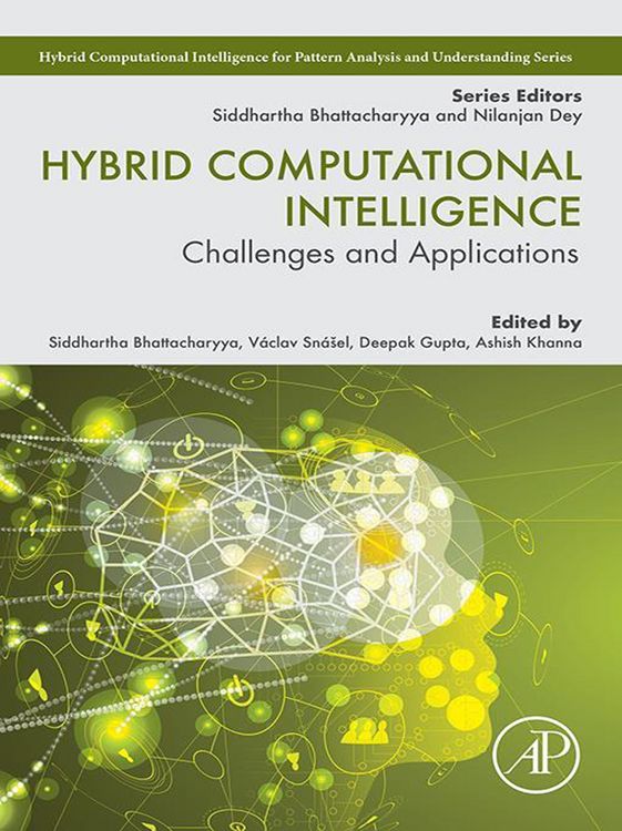Produktbild: Hybrid Computational Intelligence