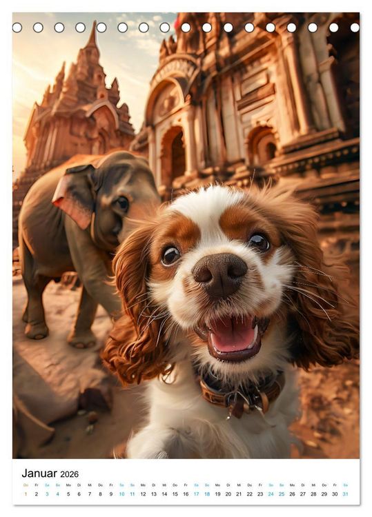 Produktbild: Cavalier King Charles Spaniel - Lustige Weltenreise im Selfie-Modus (Tischkalender 2026 DIN A5 hoch), CALVENDO Monatskalender