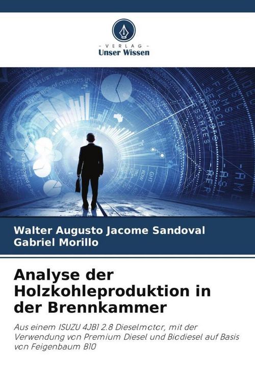 Produktbild: Analyse der Holzkohleproduktion in der Brennkammer