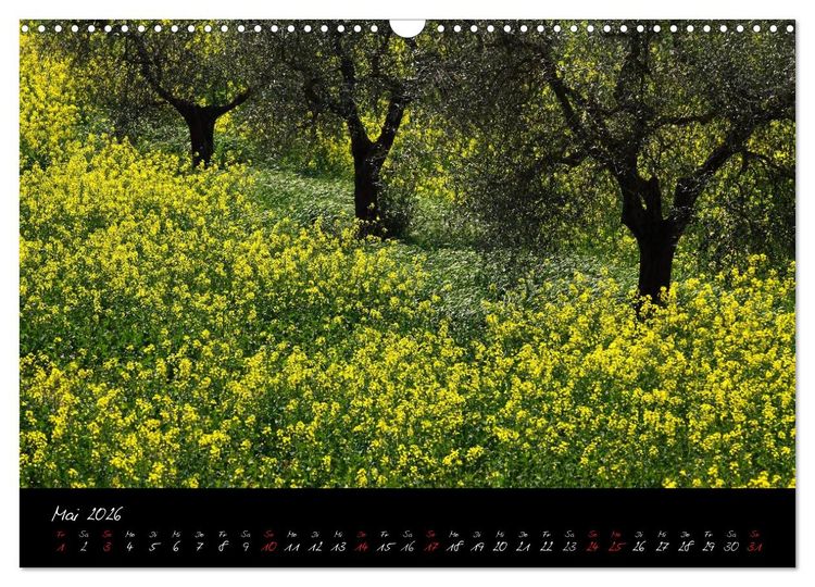 Produktbild: Licht der Toscana (Wandkalender 2026 DIN A3 quer), CALVENDO Monatskalender