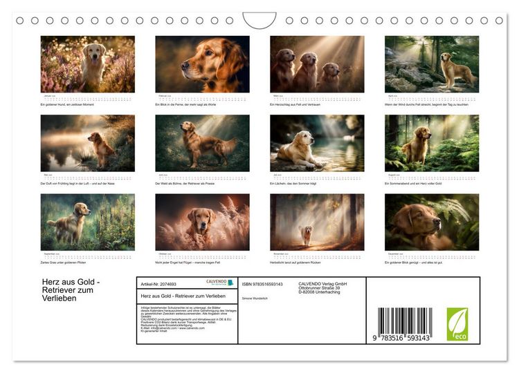 Produktbild: Herz aus Gold - Retriever zum Verlieben (Wandkalender 2026 DIN A4 quer), CALVENDO Monatskalender