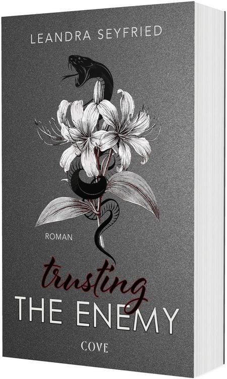 Produktbild: Trusting The Enemy (Sons of Chicago 2)