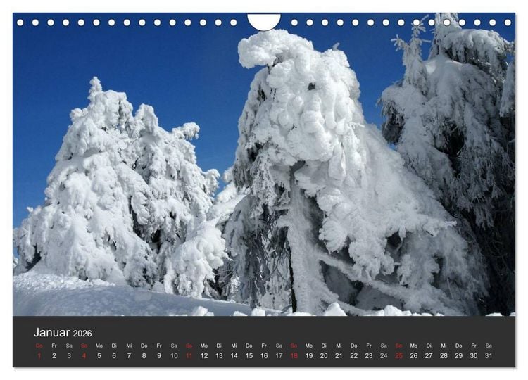 Produktbild: Alte B&auml;ume Alte Veteranen (Wandkalender 2026 DIN A4 quer), CALVENDO Monatskalender