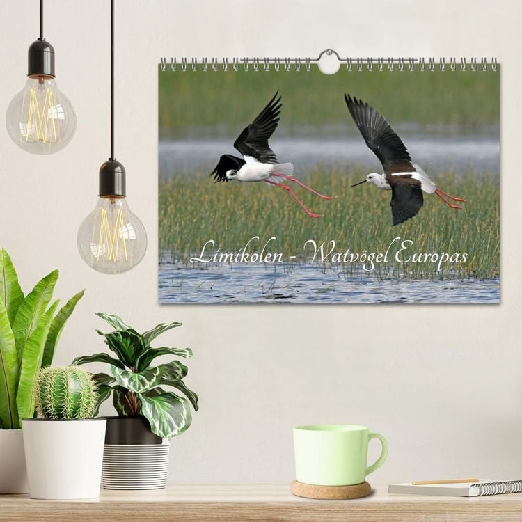 Produktbild: Limikolen - Watv&ouml;gel Europas (Wandkalender 2027 DIN A4 quer), CALVENDO Monatskalender