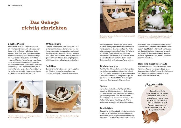 Produktbild: Zwergkaninchen