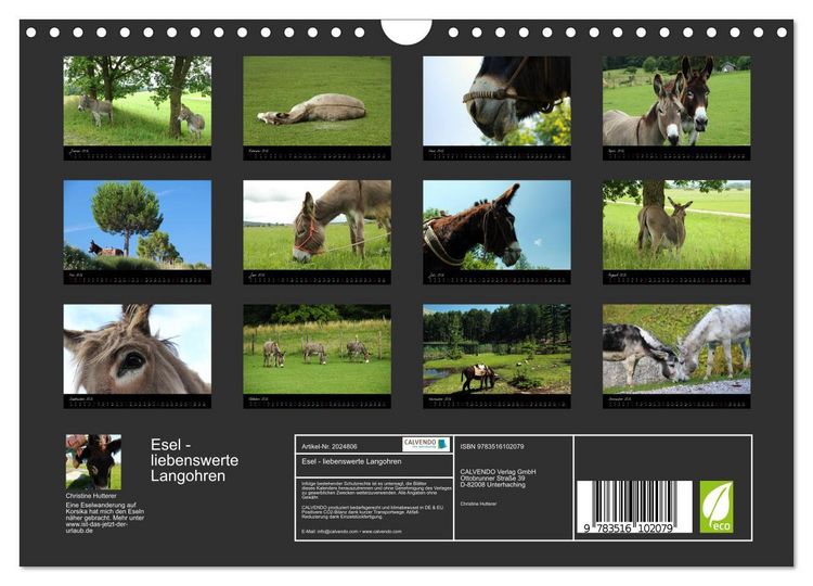 Produktbild: Esel - liebenswerte Langohren (Wandkalender 2026 DIN A4 quer), CALVENDO Monatskalender