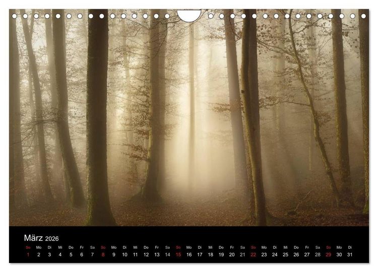Produktbild: Mysterium Wald (Wandkalender 2026 DIN A4 quer), CALVENDO Monatskalender