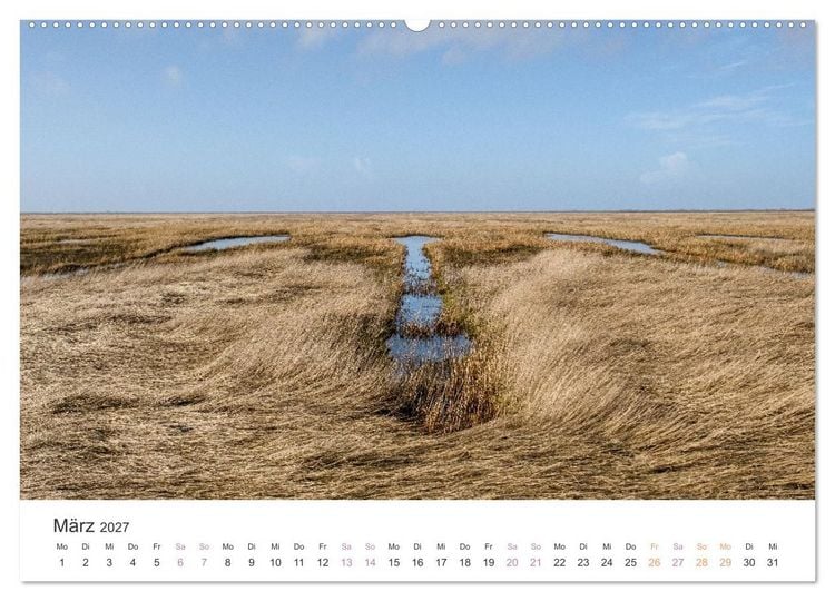 Produktbild: Hamburger Hallig - Der Weg ist das Ziel (hochwertiger Premium Wandkalender 2027 DIN A2 quer), Kunstdruck in Hochglanz