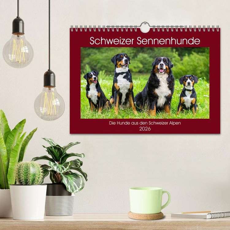 Produktbild: Schweizer Sennenhunde - die Hunde aus den Schweizer Alpen (Wandkalender 2026 DIN A4 quer), CALVENDO Monatskalender