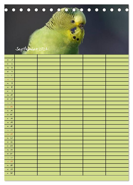 Produktbild: Der Wellensittich-Familienplaner (Tischkalender 2026 DIN A5 hoch), CALVENDO Monatskalender