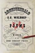 Produktbild: Archicembalo