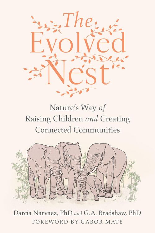 Produktbild: The Evolved Nest