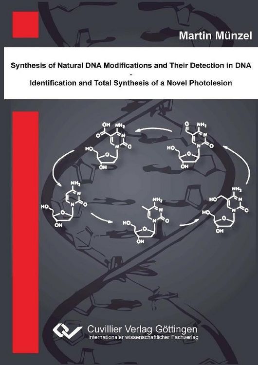 Produktbild: Synthese nat&uuml;rlicher DNA Modifikationen und deren Detektion in DNA - Identifikation und Totalsynthese eines neuartigen DNA Photoschadens