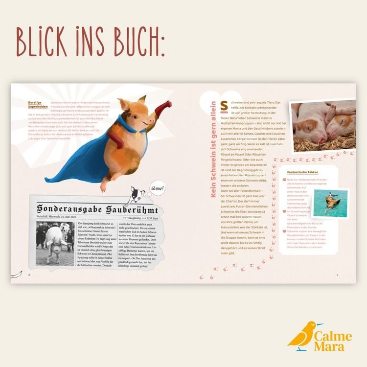 Produktbild: Schlau wie Sau