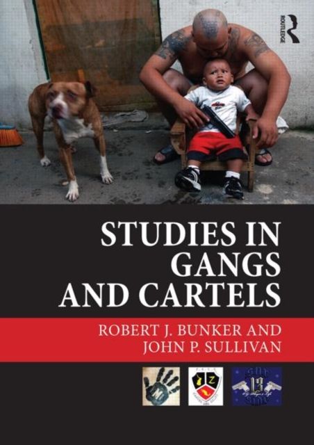 Produktbild: Studies in Gangs and Cartels