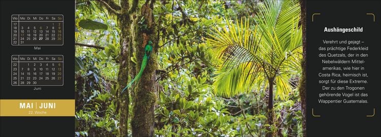 Produktbild: Naturparadiese Premium-Tischplaner 2027 - Wochenkalender mit 53 Fotografien